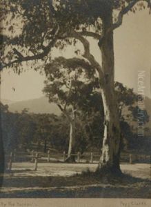 By The Roadside by Pegg Clarke