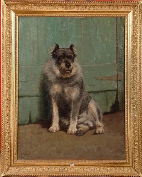Portrait D'un Chien - view 1