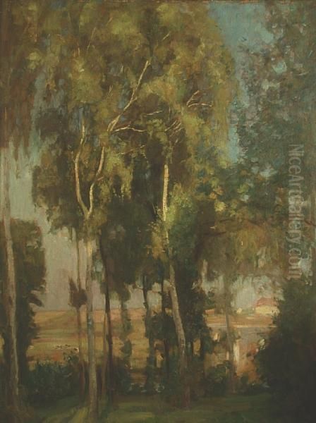 A View Through The Trees - view 1