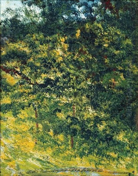 Bosque - view 1