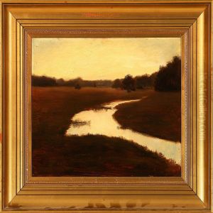 Field Landscape Inthe Evening Sun