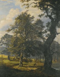 Dyrehaven Near Copenhagen by Johan Christian Clausen Dahl