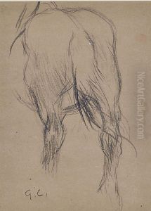 Study Of The Hind Quarters Of A Horse