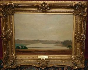 Extensive River Landscape