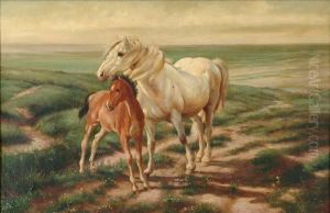 Horse And Foalupon A Moor