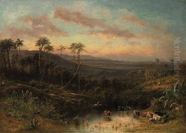 An Extensive Cuban Landscape - view 1