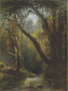 Early Morning In Cuba by Henry Cleenewerck