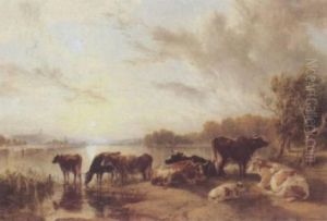 Cattle Cattle