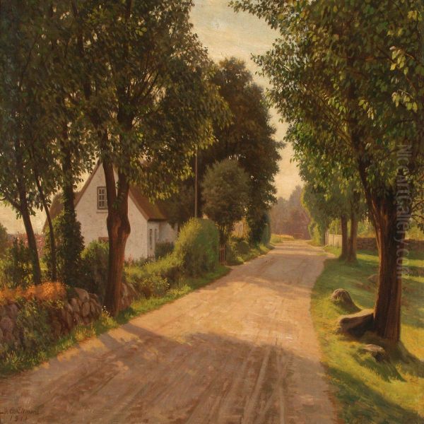 A Country Road At Summer Time - view 1