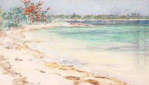 Coastal Scene, Nassau