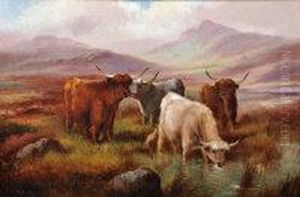 Highland Cattle by Robert Cleminson