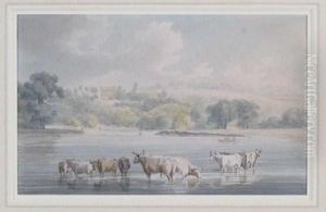 Richmond Hill From Petershammeadows by Robert Cleveley
