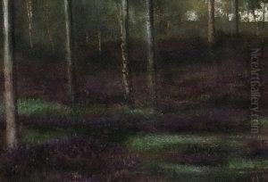 A Wood At Cullen by Edward Clifford