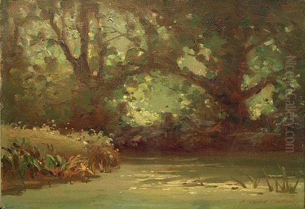 A Woodland Pond - view 1