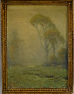 Misty Landscape