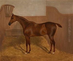 Lady Oswestry" Und "dandy" by F. Clifton