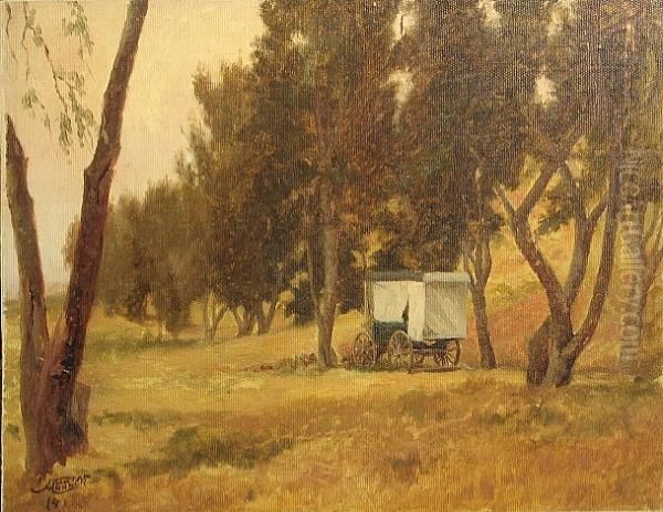 A Wagon Among A Grove Of Trees - view 1