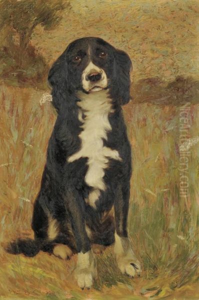 Portrait Of A Spaniel - view 1
