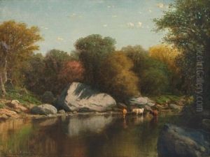 Cattle Watering In Autumn