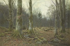 Monarchs Of The Beechwood by Tom Clough