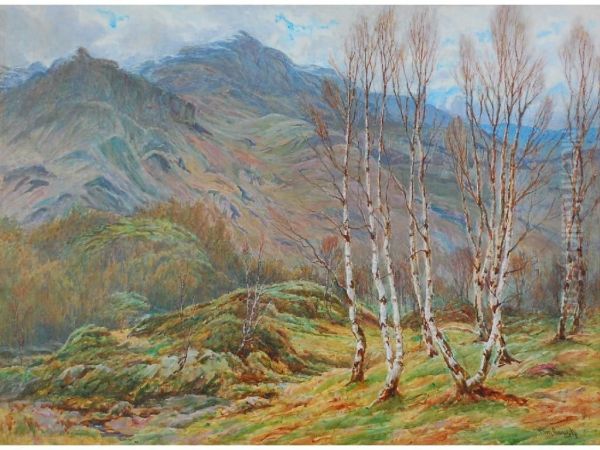 Silver Birch Trees In Lakeland Landscape - view 1