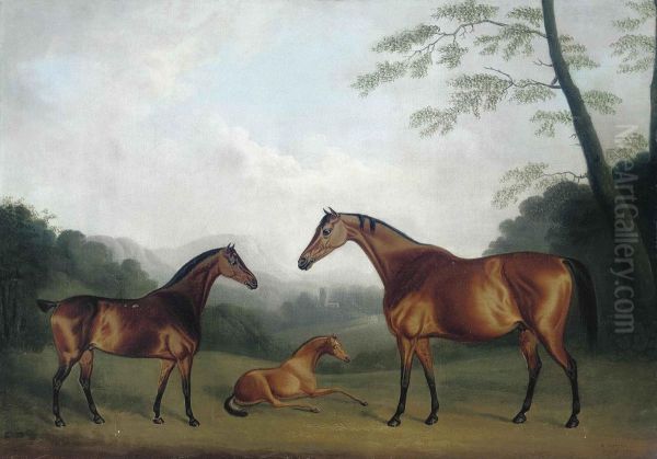 Mares And A Foal In A Landscape - view 1