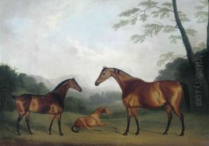 Mares And A Foal In A Landscape
