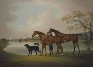 Hunters Held By A Groom, With A Newfoundland Dog, By Alake by Daniel Clowes