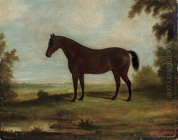 A Bay Hunter In A Landscape - view 1