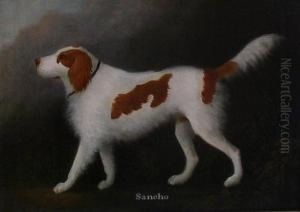 Portrait Of Sir Robert Williames Vaughan's Spaniel Sancho