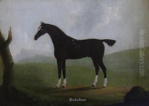 Portrait Of A Hunter