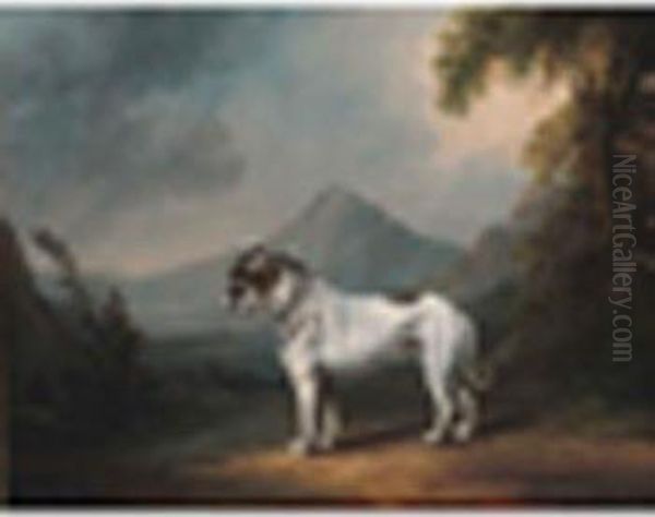 Portrait Of The Bulldog 'ball' In A Landscape - view 1