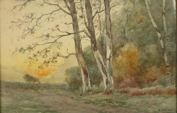 Path Along The Woods - view 1