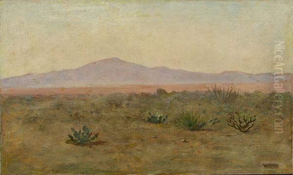 California Landscape With Distant Mountains - view 1
