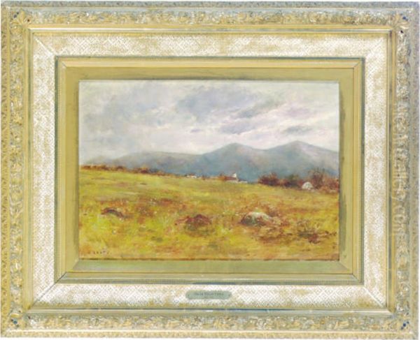 A Sprawling Landscape With Mountains Beyond - view 1