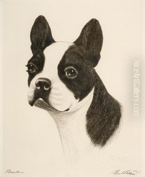 A Boston Terrier - view 1