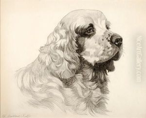 Champion Oakland Rolfe; Clumber Spaniel by Bert Cobb