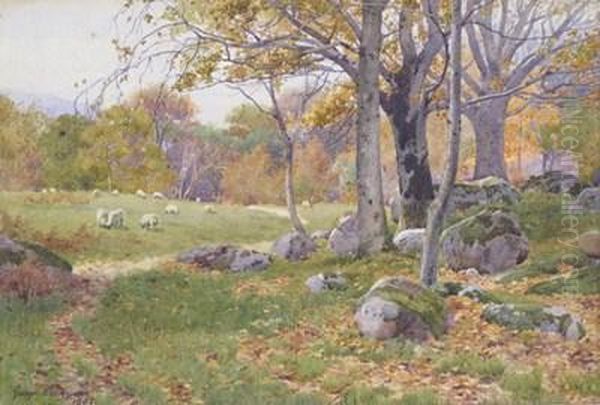 Sheep In A Rocky Wooded Landscape - view 1