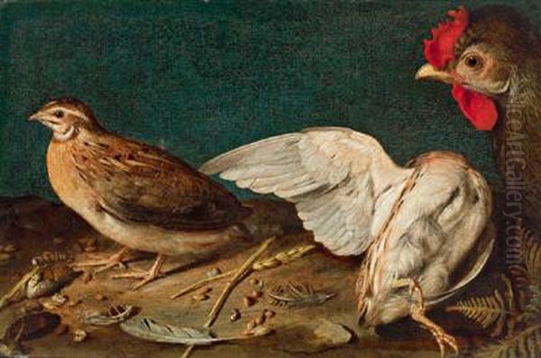 Un Pollo - view 1