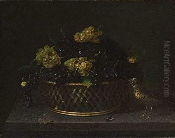 Grive Pres D'un Panier De Raisins Avec Escargot, Mouche Et Libellule. - view 1