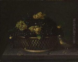 Grive Pres D'un Panier De Raisins Avec Escargot, Mouche Et Libellule. by Francesco Codino
