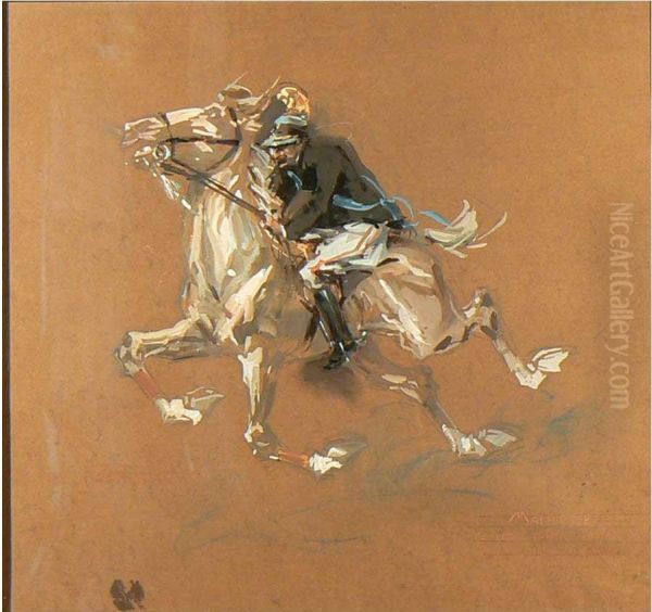 Cavaliere Al Concorso Ippico Di Roma - view 1