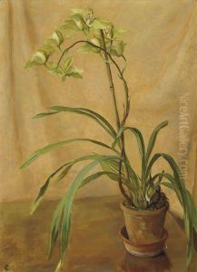 Green Cymbidium Green Cymbidium