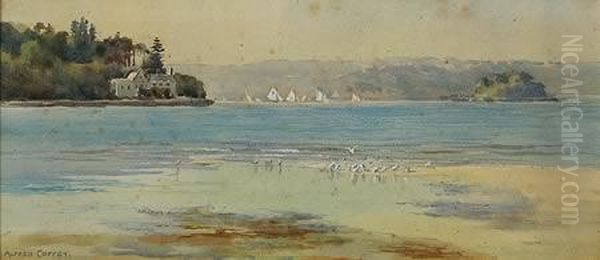 View Of Sydney Harbour - view 1