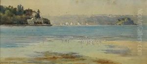 View Of Sydney Harbour by Alfred J. Coffey