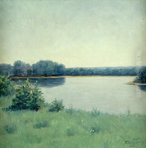 View Of A Pond - view 1
