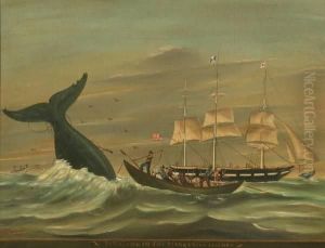 Whaling In The Marqueses Island Whaling In The Marqueses Island