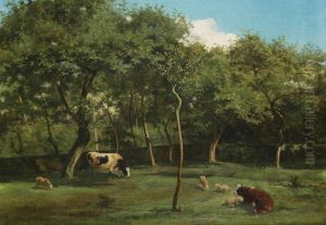 Koeien En Schapen In De Boomgaard