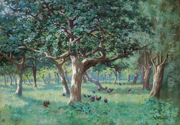 Galline Nel Querceto - view 1