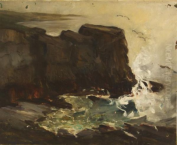 Grand Menan, Grey Cliffs With Gulls - view 1